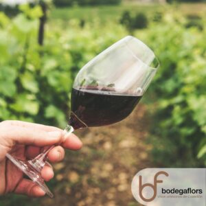Cómo catar un vino
